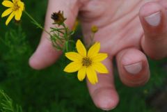 chris and flower