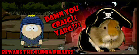 piggy pirate!