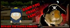 piggy pirate!