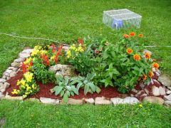 Khafre swside
Left to right
yellow snapdragon 
mum
yellow ice cycle snapdragon
red salvia 
theres a fern in there
theres a pink ice cycle snapdragon in there
lambs ear
White salvia 
Zinnia
Dahlia