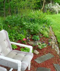 shade garden