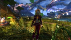 Engineer Fashion