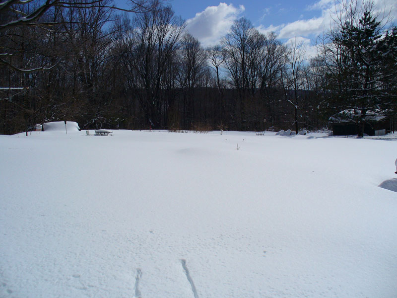 The backyard covered in 2 feet of snow.
