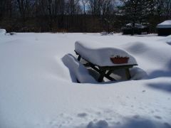 The picnic table.