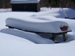 The picnic table has been warped over the years because of the weight of snow.