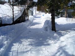 Our driveway. Imagine shoveling that!