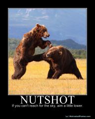 nutshot