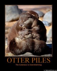 otter piles