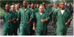 Prisoners from Elayan Hunt Correctional center are trained to clean oil from birds 
5/3/10