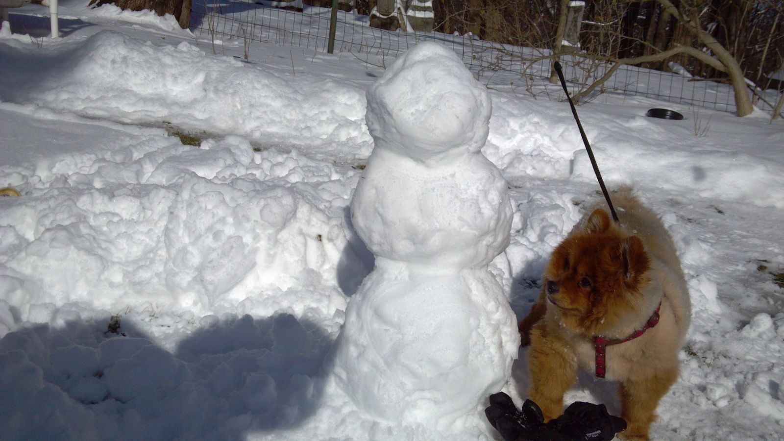 Snowman and Chu 01