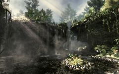 Jungle Environment