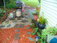 nw side of the shade garden