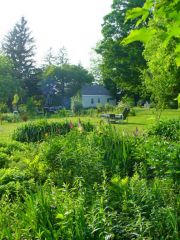 The view from the edge of the garden 
6/08