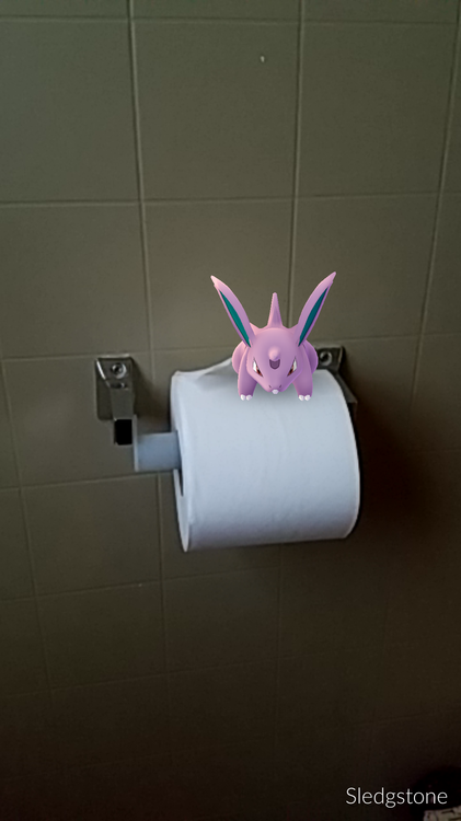 toiletpaper.png