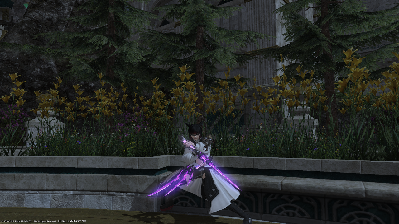 Anima weapons battle stance view