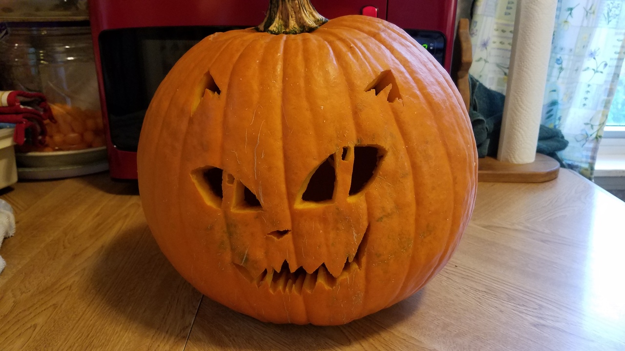 Cat pumpkin 2017