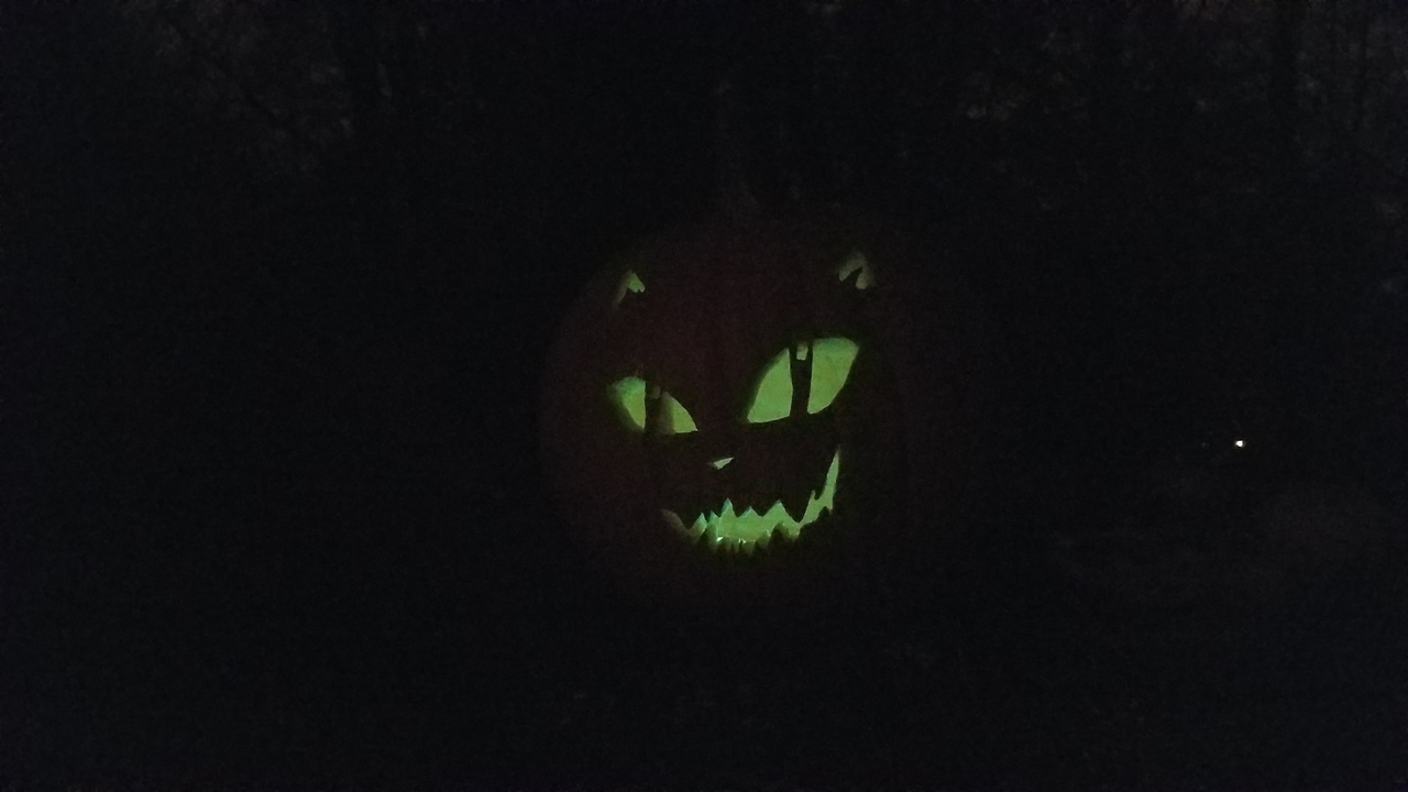 Cat pumpkin in the dark 2017